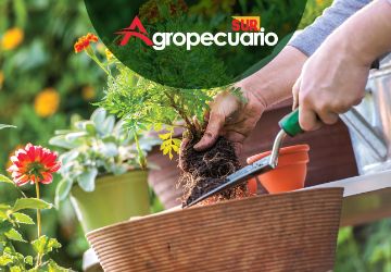 Imagen del fabricante Domus