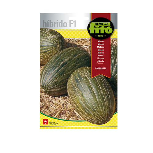 Imagen de MELON HIB (60 SEM) SUP