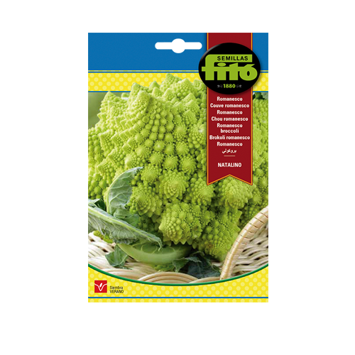 Imagen de ROMANESCO NATALINO SUP