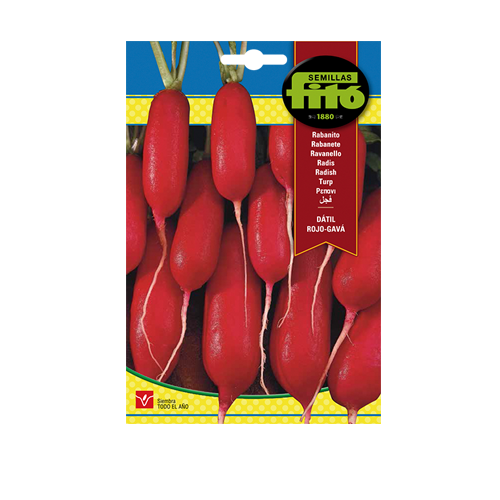 Imagen de RABANITO DATIL ROJO-GAVA SUP