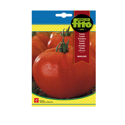 Imagen de TOMATE MARGLOBE SUP