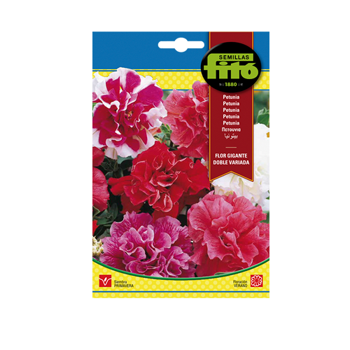 Imagen de PETUNIA FLOR GIGANTE DOBLE SUP
