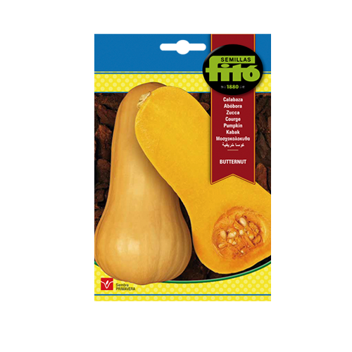 Imagen de CALABAZA BUTTERNUT SUP