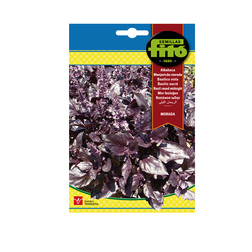 Imagen de ALBAHACA MORADA SUP