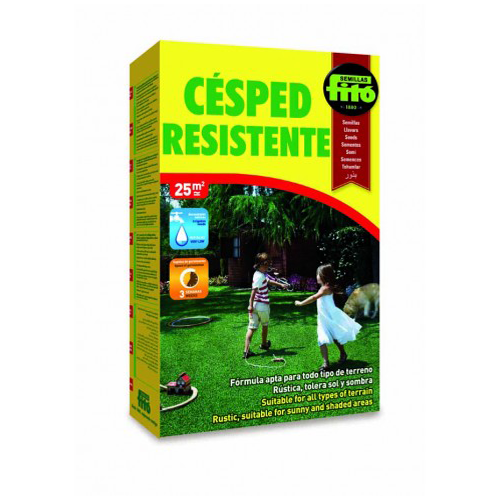 Imagen de CESPED RESISTENTE KILO