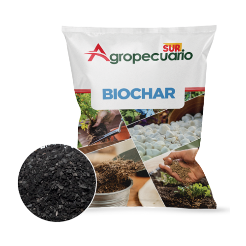 Imagen de BIOCHAR BOLSA DE 5KG